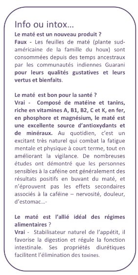 informations sur la boisson maté