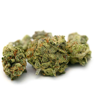 photo de tête de cannabis