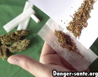 Dangers Cannabis