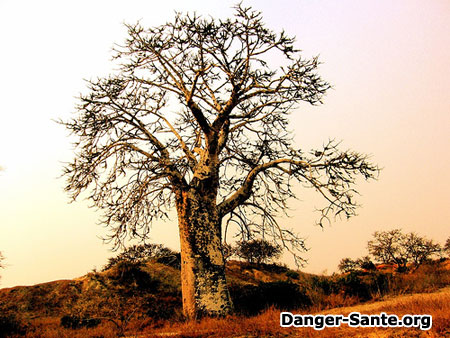 photo vaccins vacances en angola