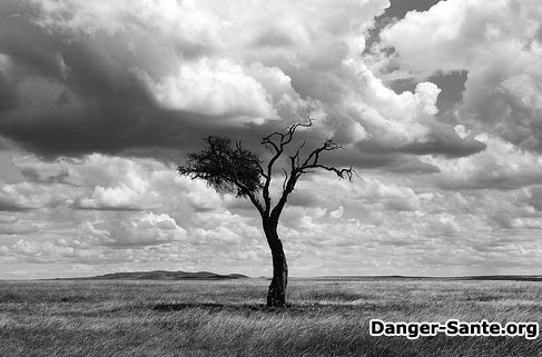 photos voyage centrafrique afrique