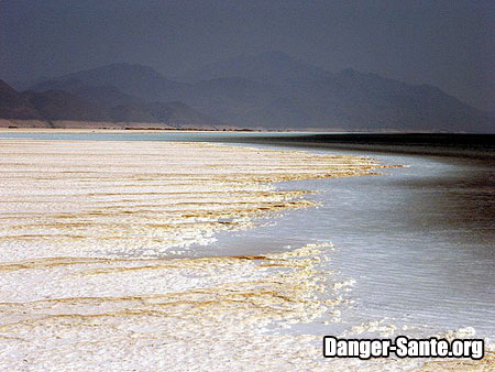 photos voyages djibouti afrique